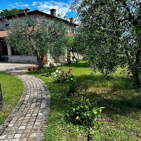 Bed and Breakfast La Bertinora Villa Verucchio Exterior foto